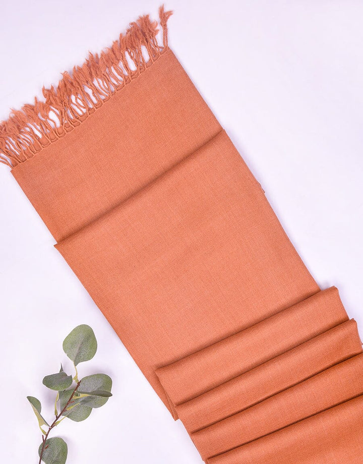 PASHMINA SHAWL-Brown Apparel & Accessories KHAS STORES 