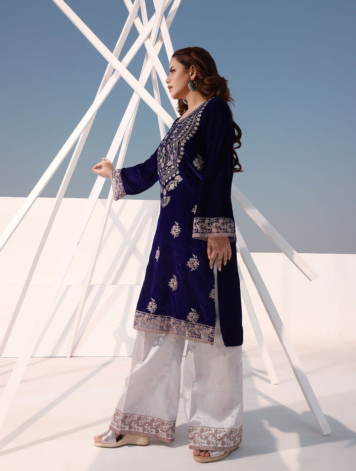 2 Pcs Embroidered Velvet Suit ERV-162 Luxury Velvet FASSTILAD 