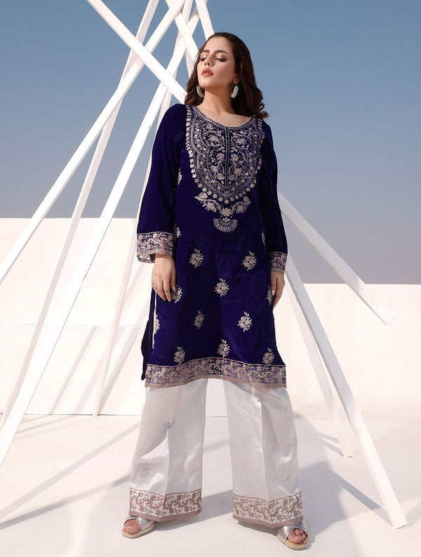 2 Pcs Embroidered Velvet Suit ERV-162 Luxury Velvet FASSTILAD S 
