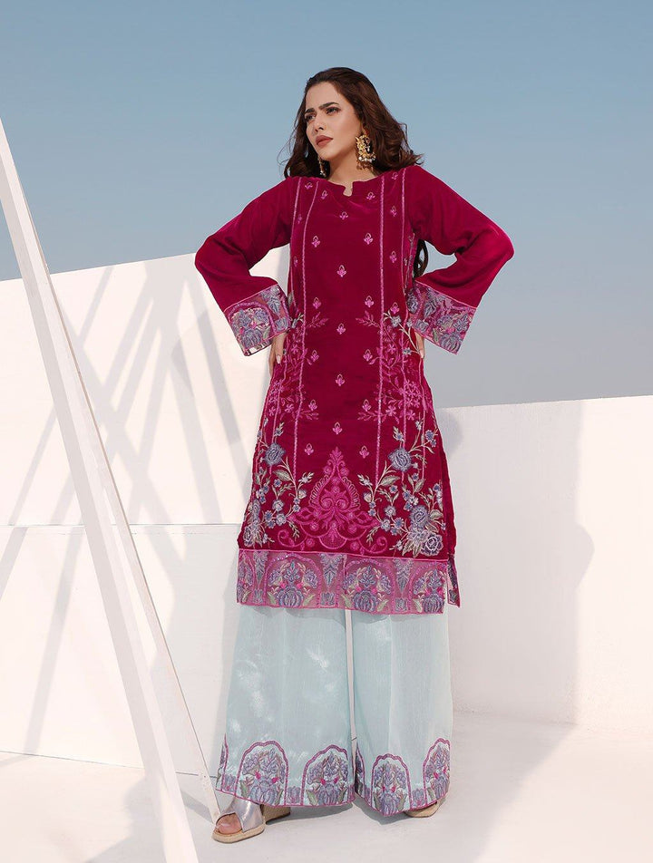 2 Pcs Embroidered Velvet Suit ERV-170 Luxury Velvet FASSTILAD S 