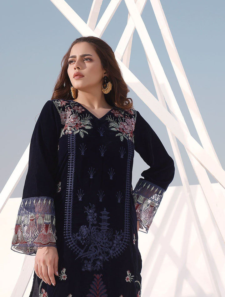 2 Pcs Embroidered Velvet Suit ERV-171 Luxury Velvet FASSTILAD 