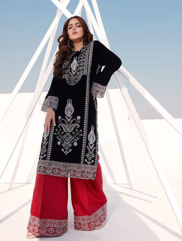 2 Pcs Embroidered Velvet Suit ERV-172 Luxury Velvet FASSTILAD S 